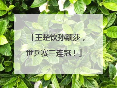 王楚钦孙颖莎，世乒赛三连冠！