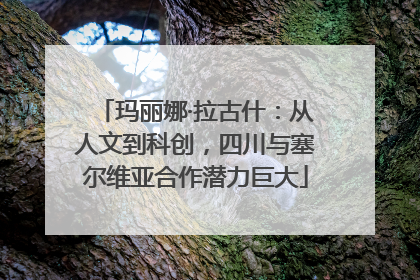 玛丽娜·拉古什：从人文到科创，四川与塞尔维亚合作潜力巨大