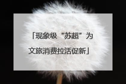 现象级“苏超”为文旅消费拉活促新