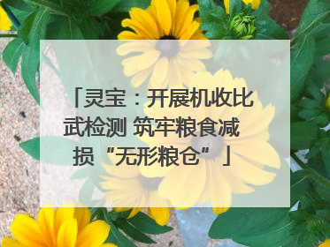 灵宝：开展机收比武检测 筑牢粮食减损“无形粮仓”