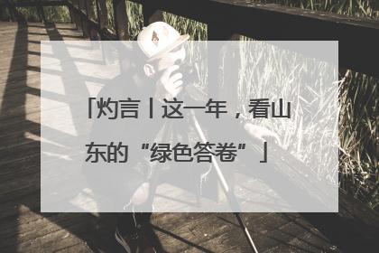 灼言丨这一年，看山东的“绿色答卷”