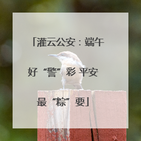 灌云公安：端午好“警”彩 平安最“粽”要