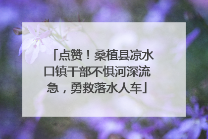 点赞！桑植县凉水口镇干部不惧河深流急，勇救落水人车