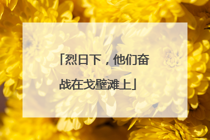 烈日下，他们奋战在戈壁滩上