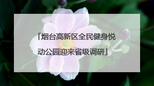 烟台高新区全民健身悦动公园迎来省级调研