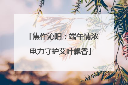 焦作沁阳：端午情浓 电力守护艾叶飘香