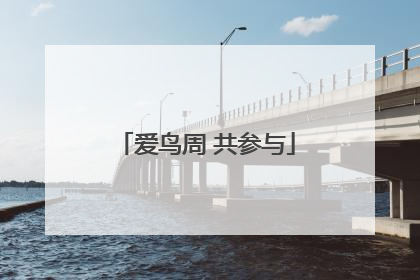爱鸟周 共参与