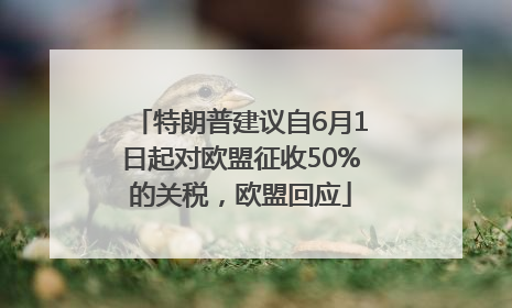 特朗普建议自6月1日起对欧盟征收50%的关税，欧盟回应