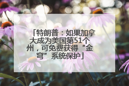 特朗普：如果加拿大成为美国第51个州，可免费获得“金穹”系统保护