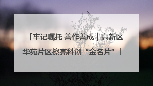 牢记嘱托 善作善成｜高新区华苑片区擦亮科创“金名片”