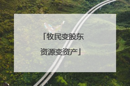 牧民变股东 资源变资产