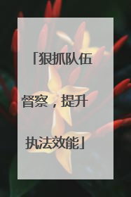 狠抓队伍督察，提升执法效能