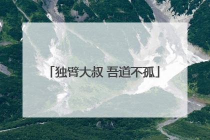 独臂大叔 吾道不孤