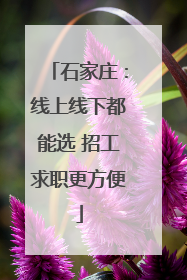 石家庄：线上线下都能选 招工求职更方便