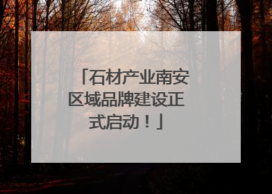 石材产业南安区域品牌建设正式启动！