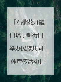 石榴花开耀白塔，新街口举办民族共同体宣传活动