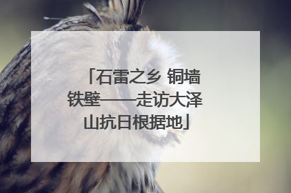 石雷之乡 铜墙铁壁——走访大泽山抗日根据地