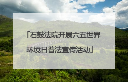 石鼓法院开展六五世界环境日普法宣传活动