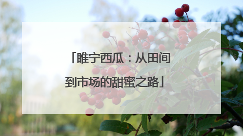 睢宁西瓜：从田间到市场的甜蜜之路