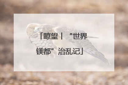 瞭望丨“世界镁都”治乱记