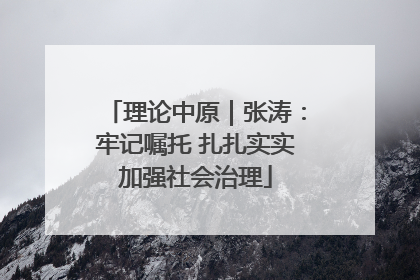 理论中原｜张涛：牢记嘱托 扎扎实实加强社会治理