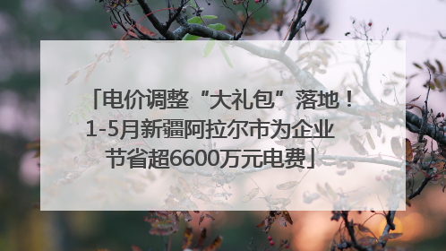 电价调整“大礼包”落地！1-5月新疆阿拉尔市为企业节省超6600万元电费