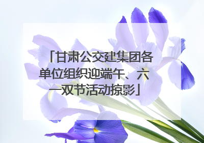 甘肃公交建集团各单位组织迎端午、六一双节活动掠影