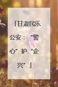 甘肃民乐公安：“警心”护“企兴”