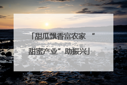 甜瓜飘香富农家 “甜蜜产业”助振兴