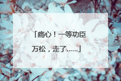 痛心！一等功臣万松，走了……