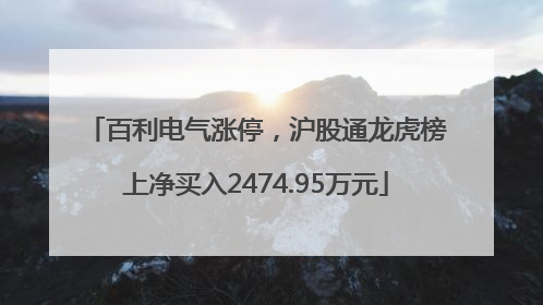 百利电气涨停，沪股通龙虎榜上净买入2474.95万元
