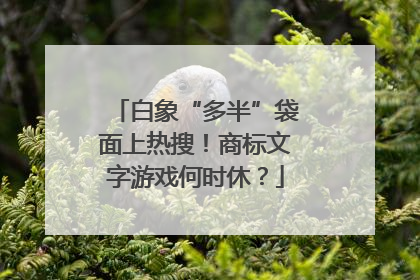白象“多半”袋面上热搜！商标文字游戏何时休？