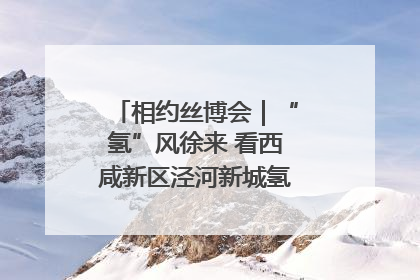 相约丝博会｜“氢”风徐来 看西咸新区泾河新城氢能产业聚链成势