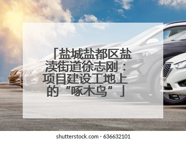盐城盐都区盐渎街道徐志刚：项目建设工地上的“啄木鸟”