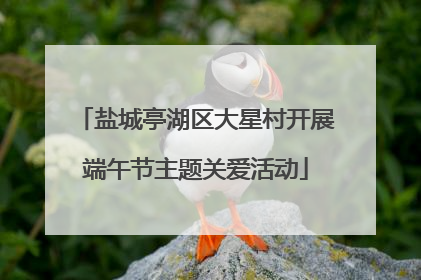 盐城亭湖区大星村开展端午节主题关爱活动