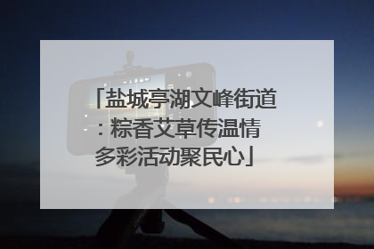 盐城亭湖文峰街道：粽香艾草传温情 多彩活动聚民心