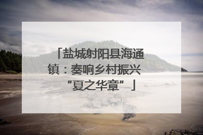 盐城射阳县海通镇：奏响乡村振兴“夏之华章”