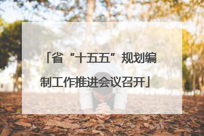 省“十五五”规划编制工作推进会议召开