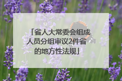 省人大常委会组成人员分组审议2件省的地方性法规
