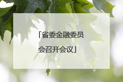 省委金融委员会召开会议