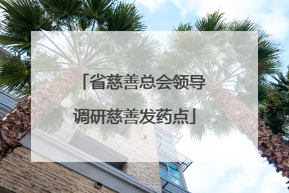 省慈善总会领导调研慈善发药点