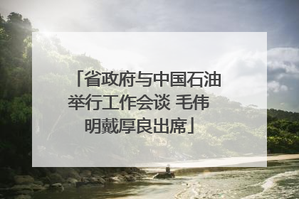 省政府与中国石油举行工作会谈 毛伟明戴厚良出席