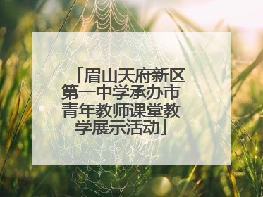 眉山天府新区第一中学承办市青年教师课堂教学展示活动