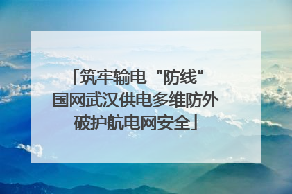 筑牢输电“防线” 国网武汉供电多维防外破护航电网安全