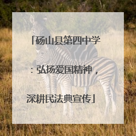 砀山县第四中学：弘扬爱国精神，深耕民法典宣传