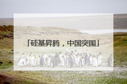 硅基昇腾，中国突围