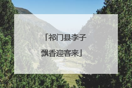 祁门县李子飘香迎客来