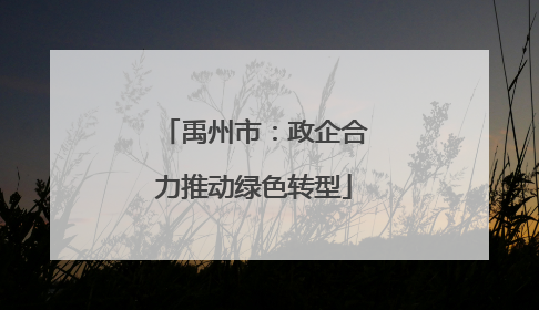 禹州市：政企合力推动绿色转型
