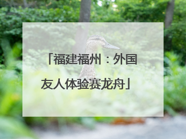 福建福州：外国友人体验赛龙舟