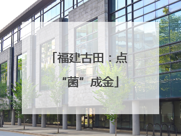 福建古田：点“菌”成金